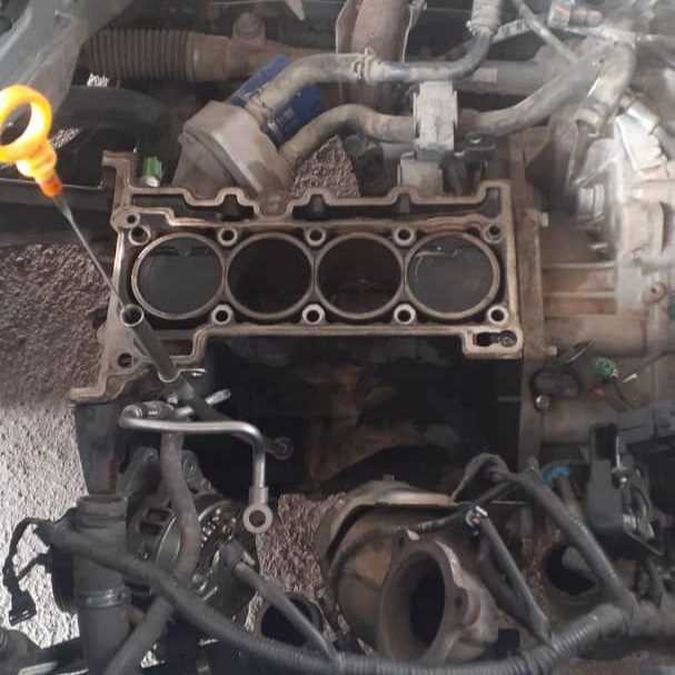 1702462912973.webp